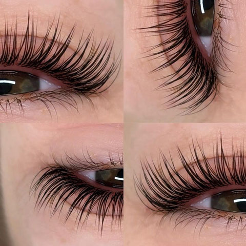 UPLIFT™️ LASH + BROW SAMPLE PACK (TGA) 🩷🧡🩵💚