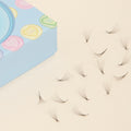 8D PROmade fans (loose/ handmade)